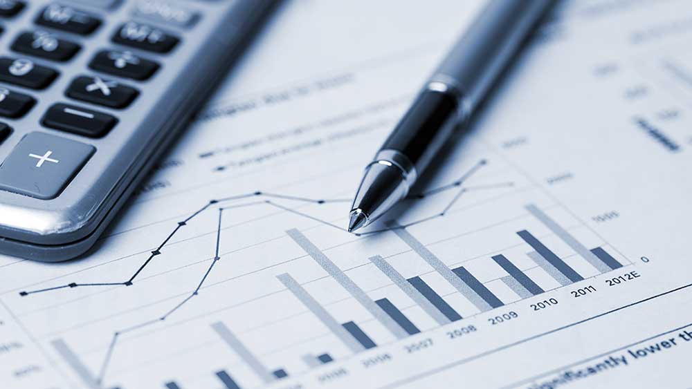 Finance Interface